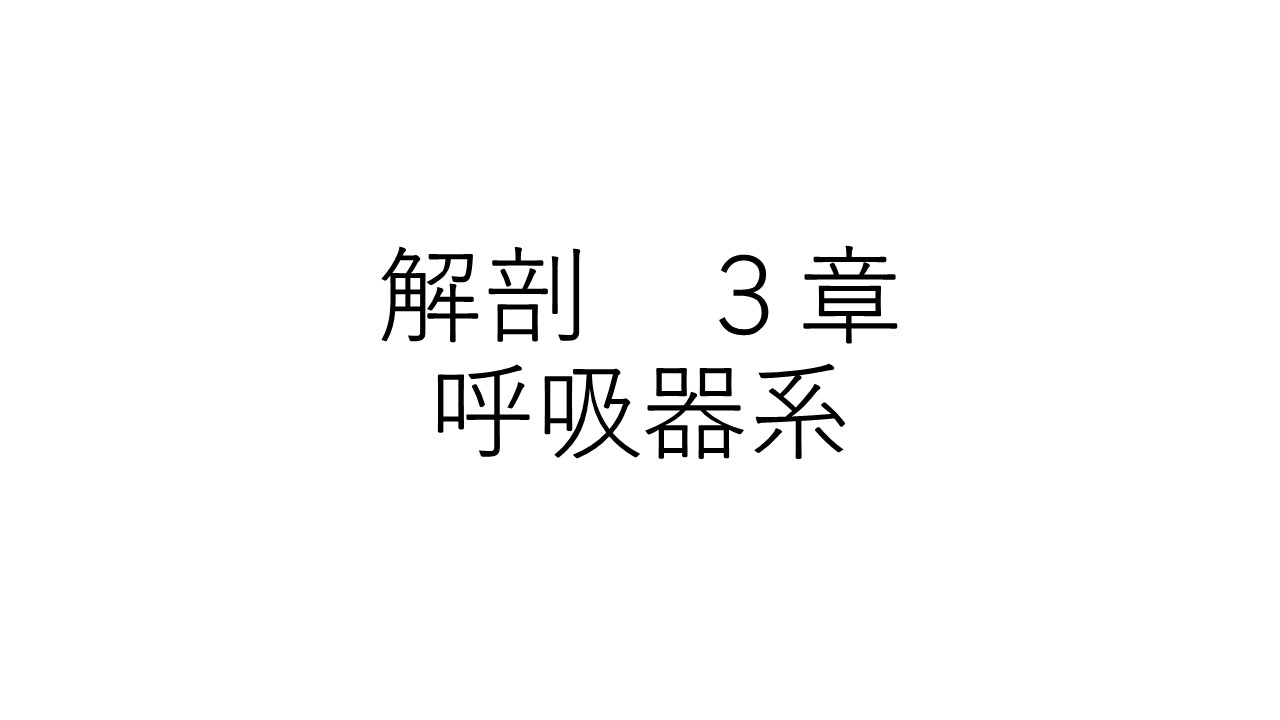 解剖３章