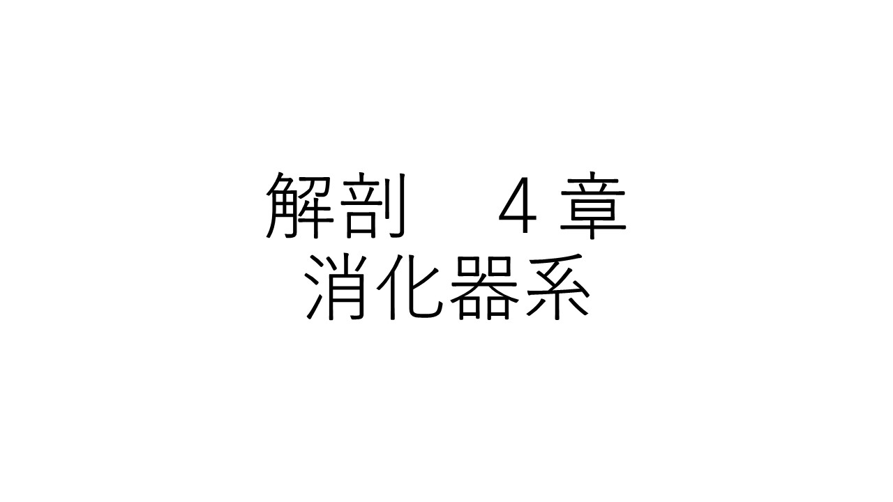 解剖４章