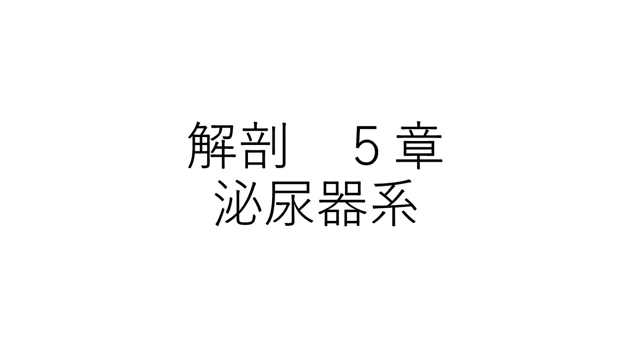 解剖５章
