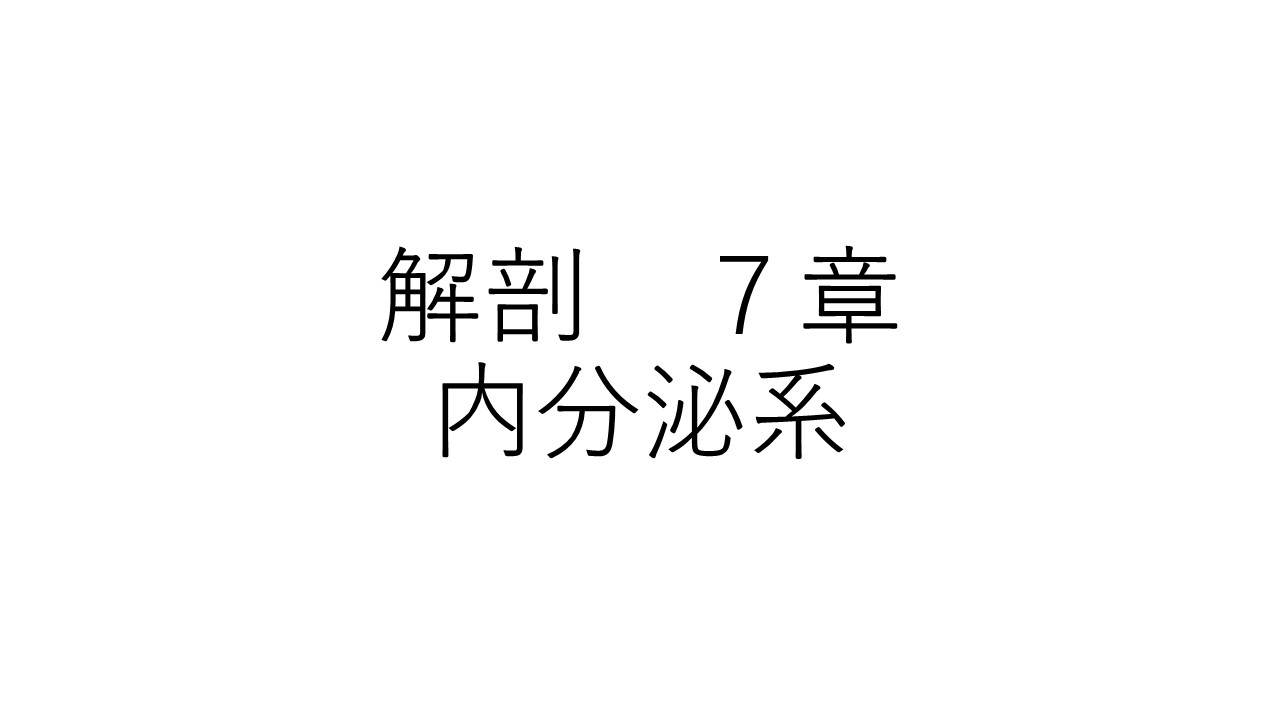 解剖７章
