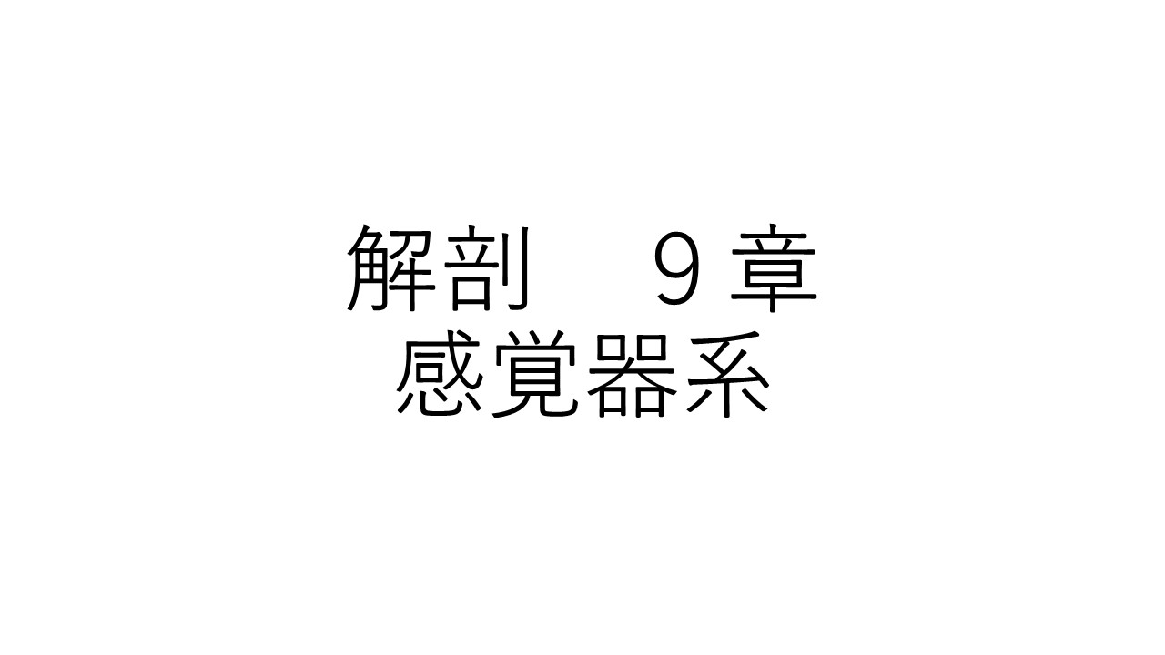 解剖９章