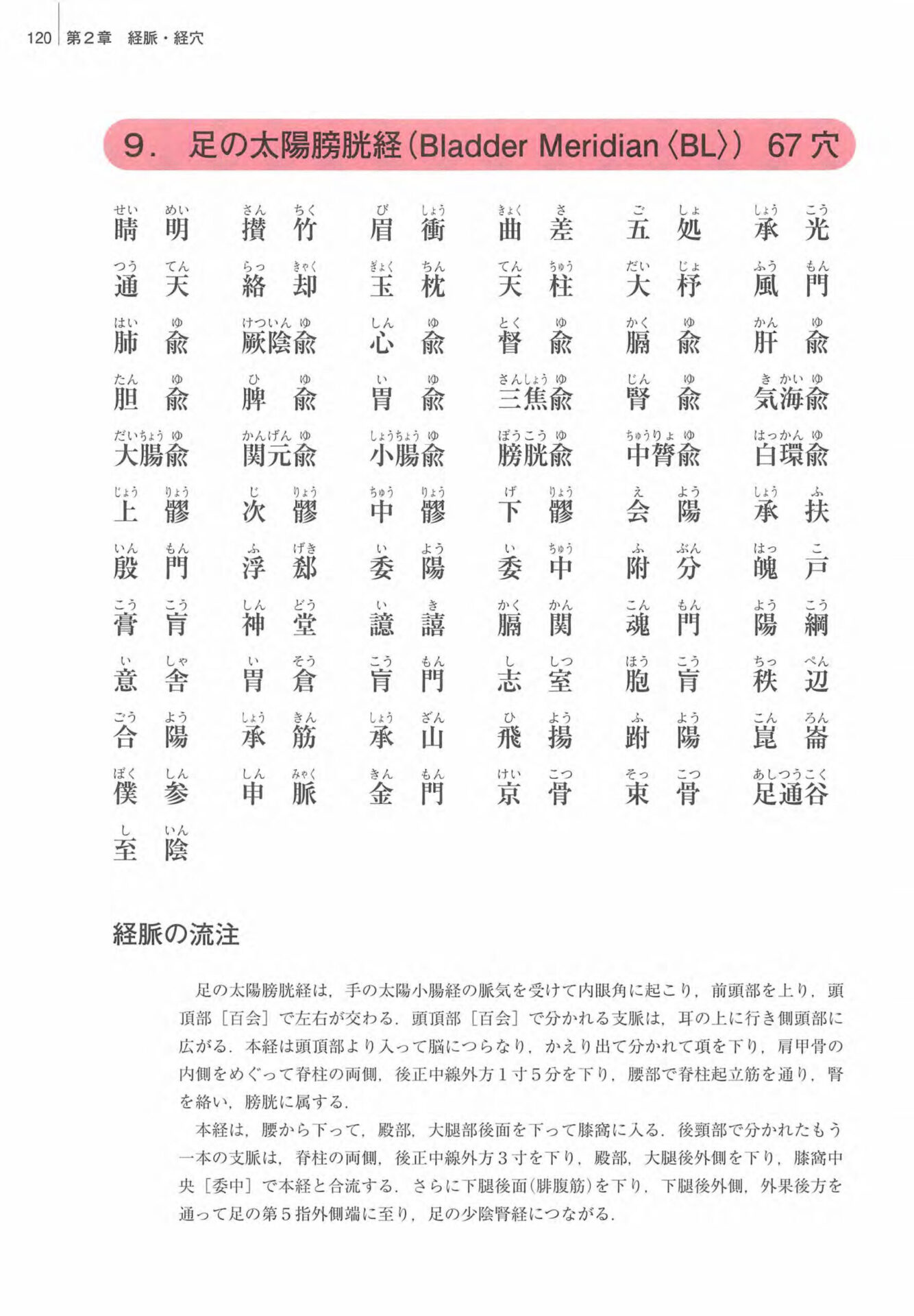 足の太陽膀胱経　経穴一覧