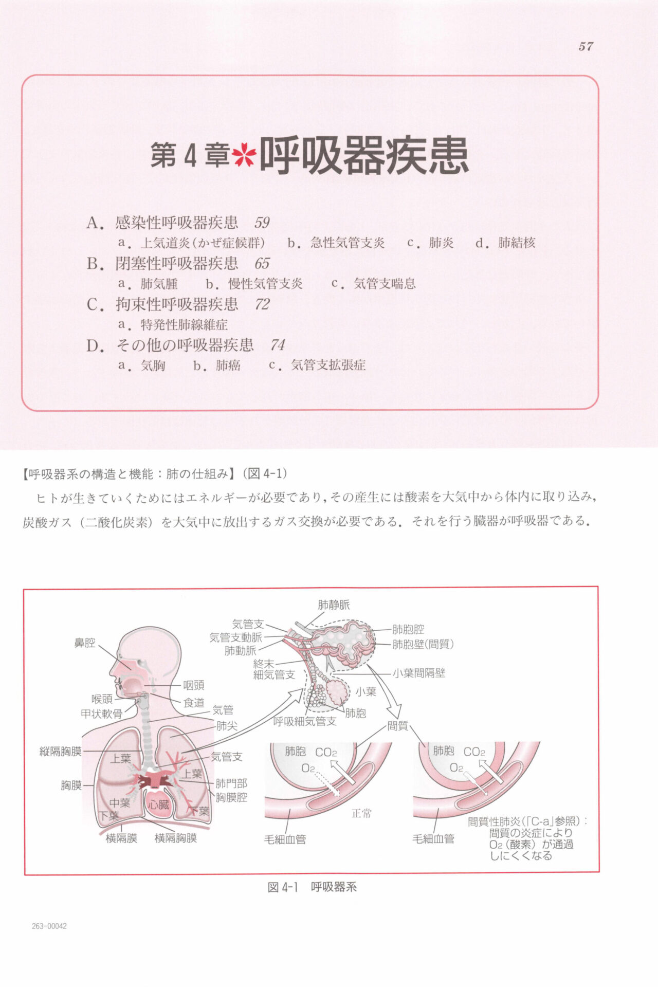 臨各_ページ_11_画像_0001